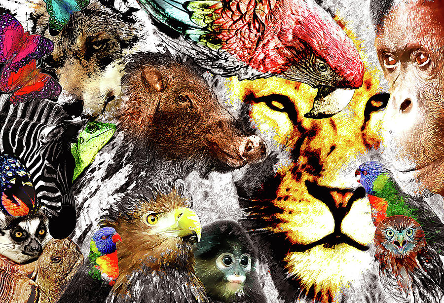 900x614 Animal Kingdom Collage Digital Art By Nannie Van Der Wal - Animal Kingdom Painting