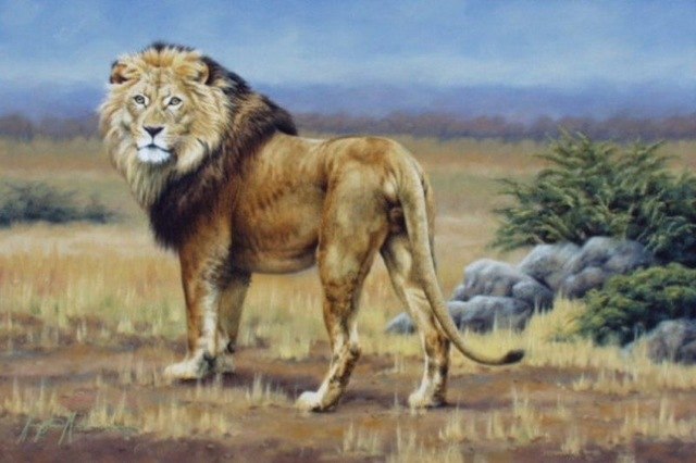640x426 Free Shipping Handmade Animal Oil Painting On Canvas Modern - Animal Oil Painting