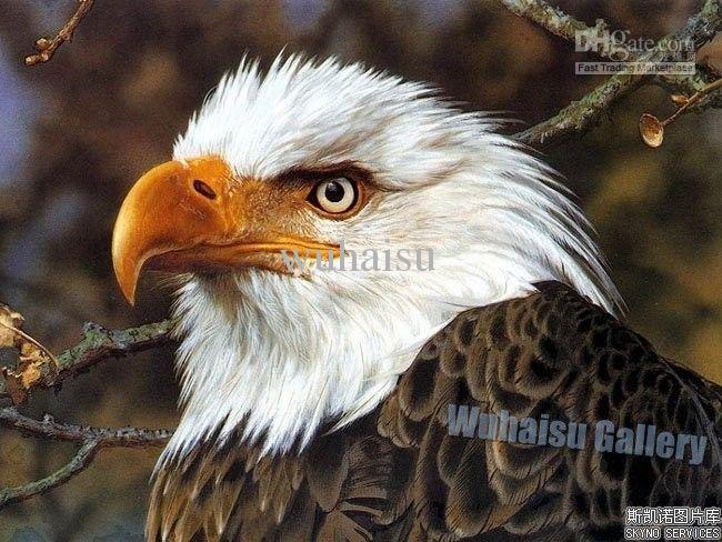 650x488 2018 High Quality Hand Painted Animal Oil Painting Modern Wall - Animal Oil Painting