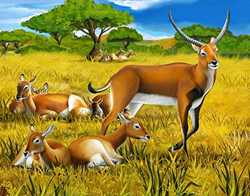 500x393 Art Factory Animal Painting Cp 1496(32x24) - Animal Painting
