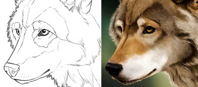 682x300 Realistically Painting For An Animal Artwork - Animal Painting