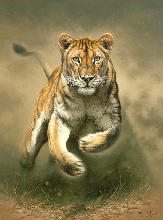 540x729 756 Best Animal Art Images By Christel Grignard - Animal Painting Images