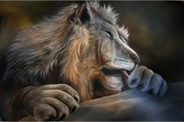 620x413 How To Paint A Lion - Animal Painting Online