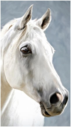 244x437 Teach Yourself How To Paint Animals With Free Online Lessons - Animal Painting Online