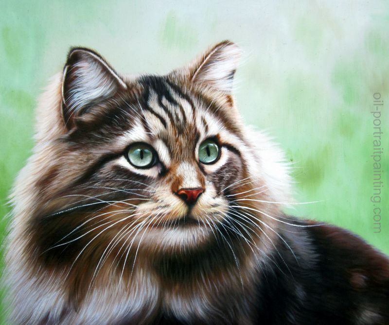 800x669 Photo To Painting, Pet Portrait Painting, Cat Oil Portrait - Animal Portrait Painting
