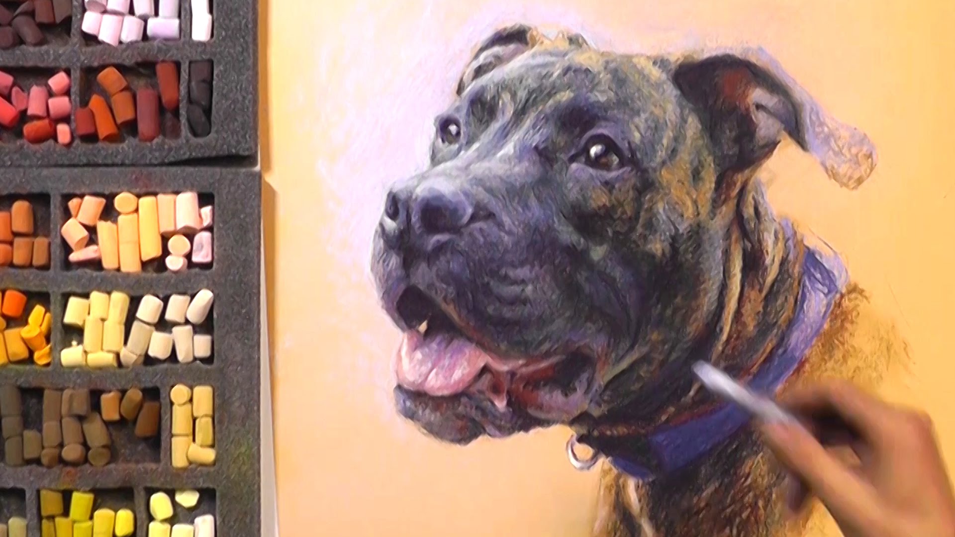 1920x1080 Titus Pet Portrait Painting With Pastels - Animal Portrait Painting