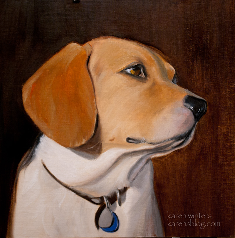 800x808 Animal Wildlife Pet Paintings And Portraits By Karen Winters - Animal Portrait Painting