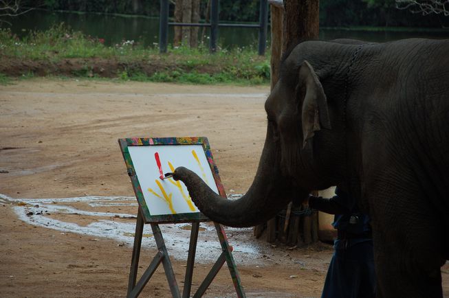 Animals Painting Pictures