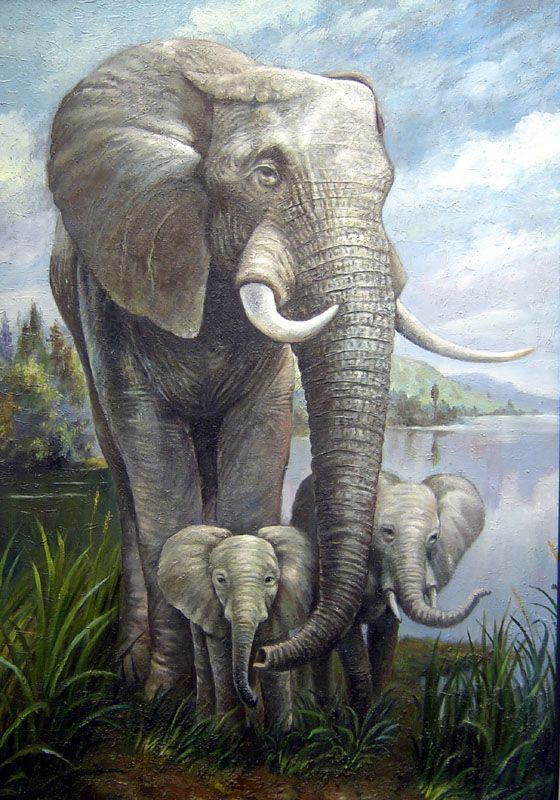 560x800 Africa Nature Painting Africa ~ Painting And Photo - Animals Painting Pictures