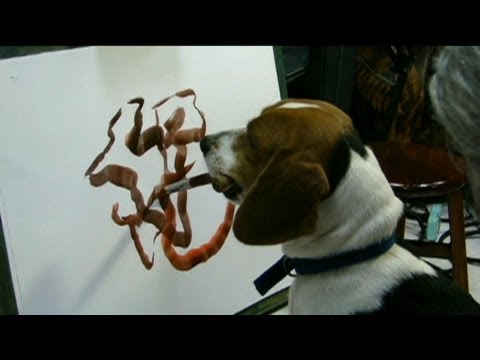 480x360 Amazing Animals That Paint! - Animals Painting Pictures