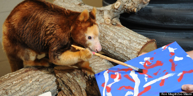 628x314 Animals Painting At Zoo Miami - Animals Painting Pictures