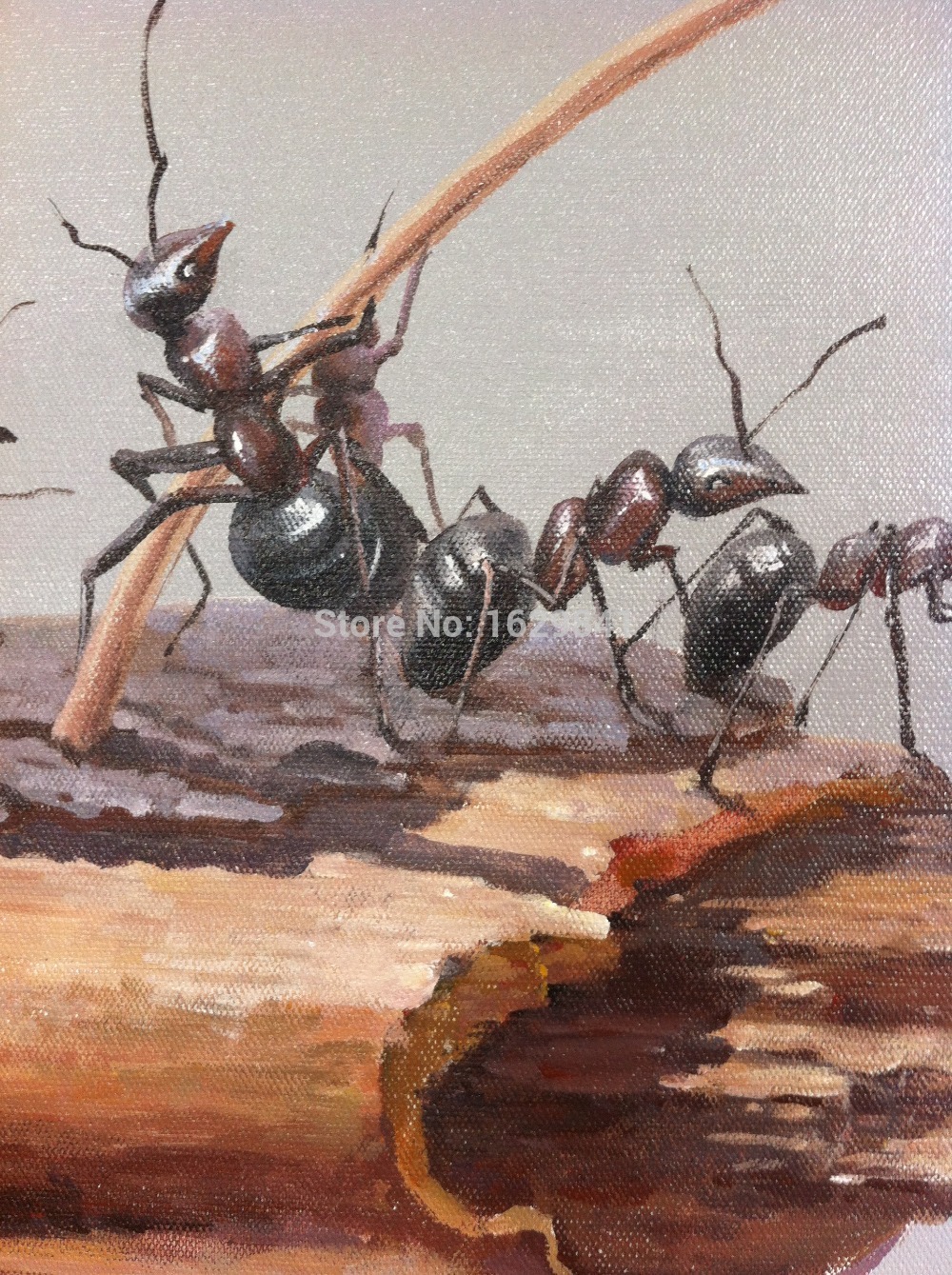 Ant Painting at Explore collection of Ant Painting