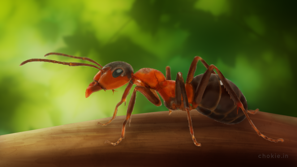 960x540 Chokie Virtual World - Ant Painting