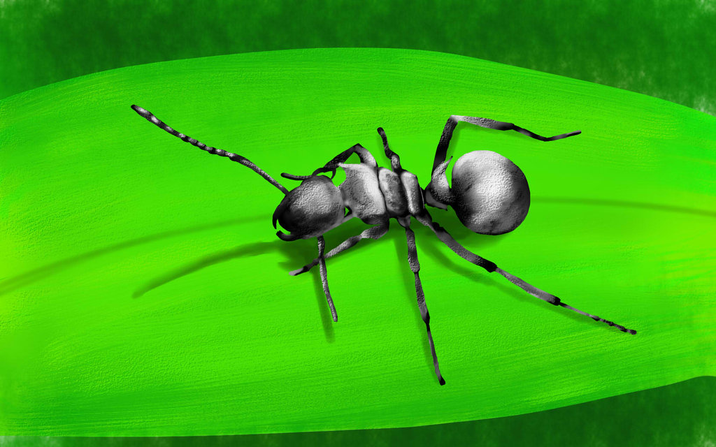1024x640 Ant Painting, Created In Sai By Zeronigma - Ant Painting