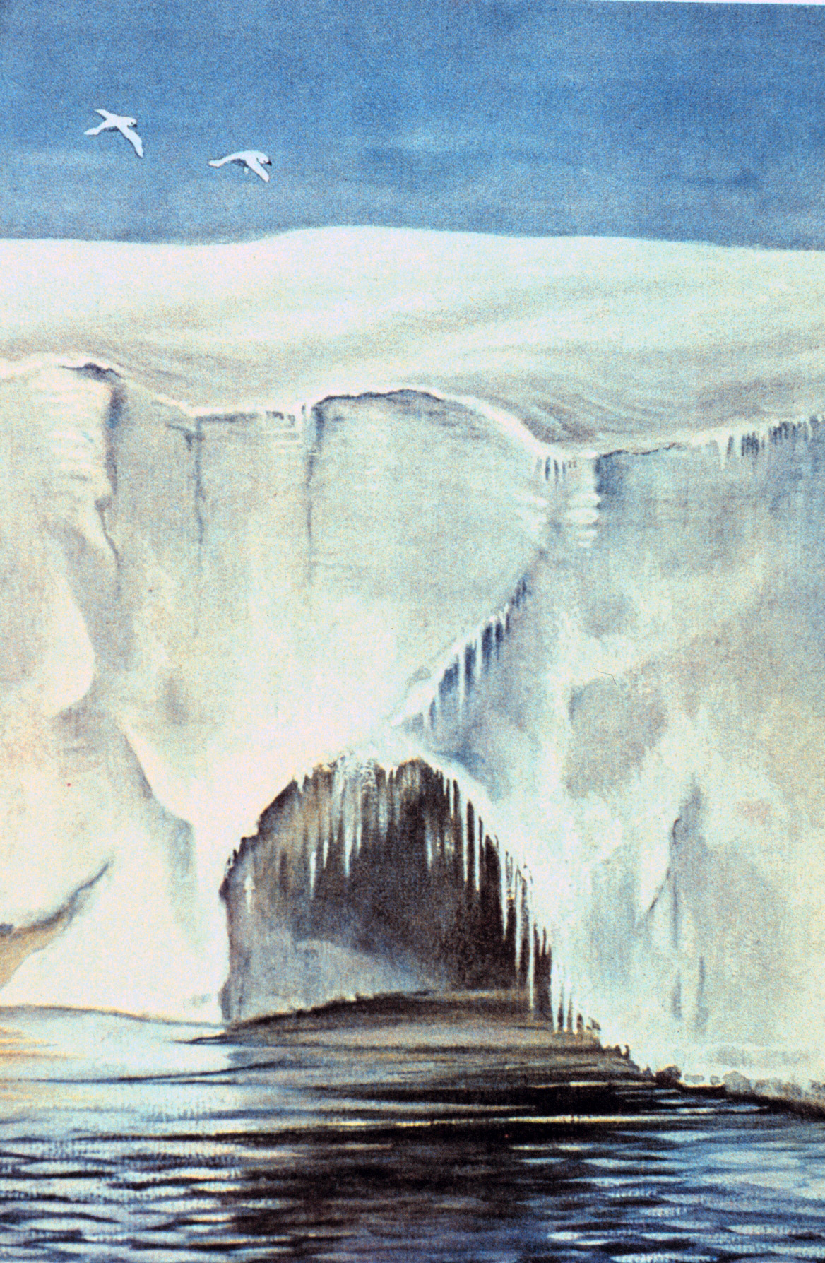 1168x1788 Pictures From The Terra Nova Expedition - Antarctica Painting