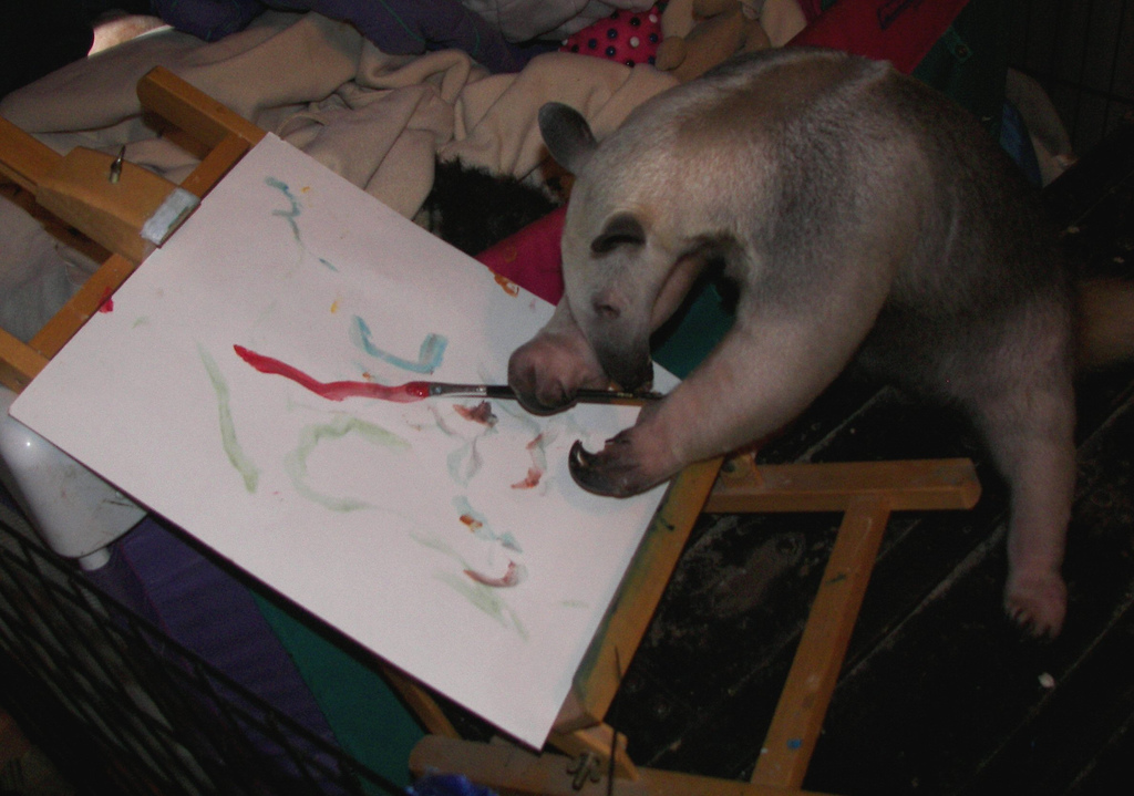1024x719 Anteater Painting Working On A Precise Line Placement Ante - Anteater Painting