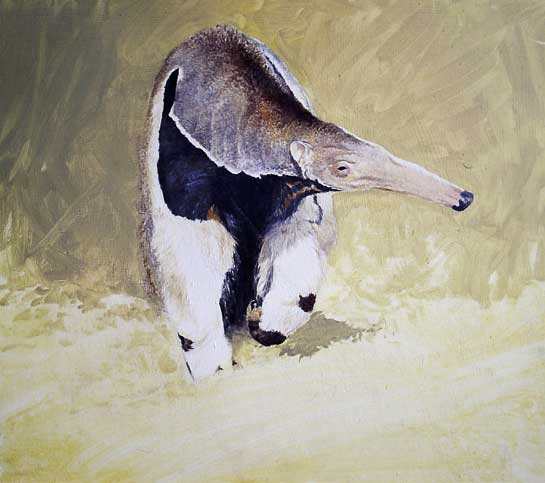 545x483 April 2007 - Anteater Painting
