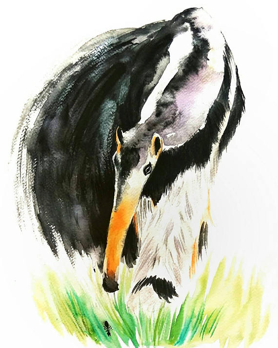 570x712 Diy Giant Anteater And Ant Original Watercolor Painting Printable - Anteater Painting