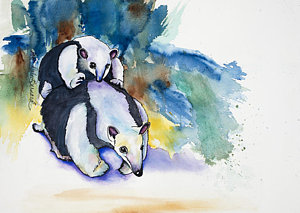 300x213 Giant Anteater Prints - Anteater Painting