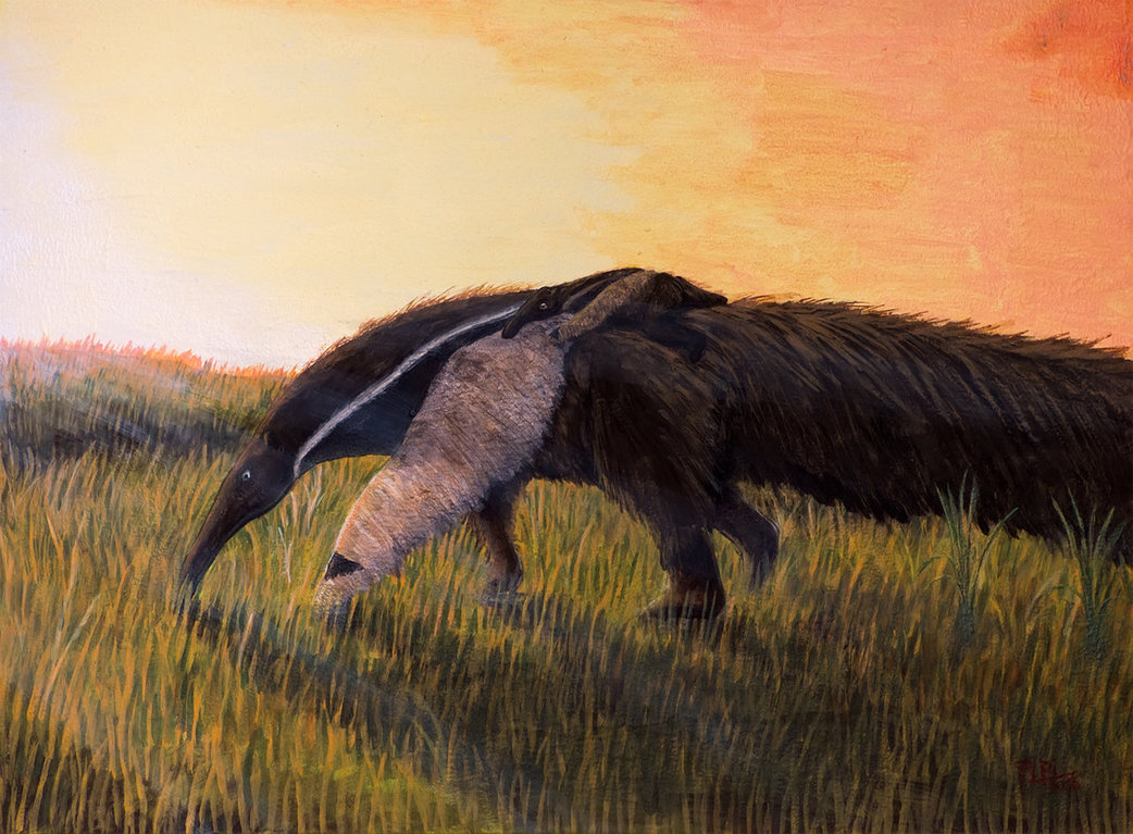 1042x767 Yurumi By Giganotosaur - Anteater Painting