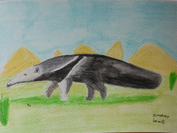 600x450 Anteater - Anteater Painting