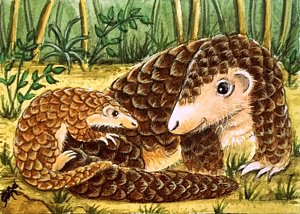 300x214 Anteater Art - Anteater Painting