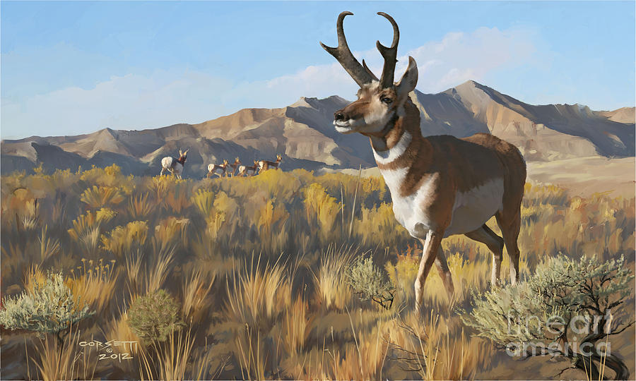 900x540 Desert Buck Painting By Rob Corsetti - Antelope Painting