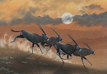 366x252 Oryx Antelope - Antelope Painting