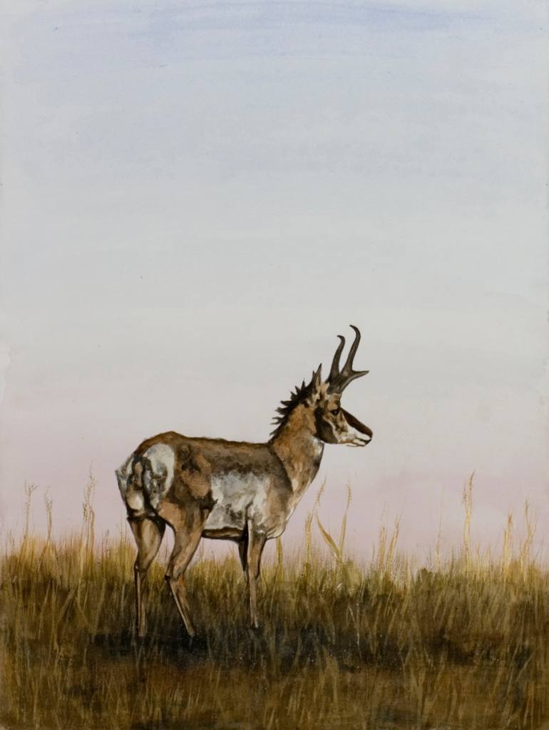 770x1023 Saatchi Art Plains Antelope Painting By Laurie Tietjen - Antelope Painting