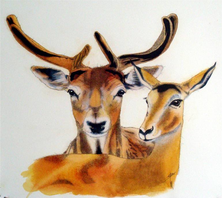 770x688 Saatchi Art The Dear Amp The Antelope Painting By Jim Fetter - Antelope Painting