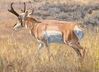 350x253 The 108 Best Art - Antelope Painting