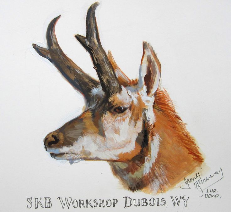 736x674 The 222 Best Animal Art Images On City, Animal - Antelope Painting