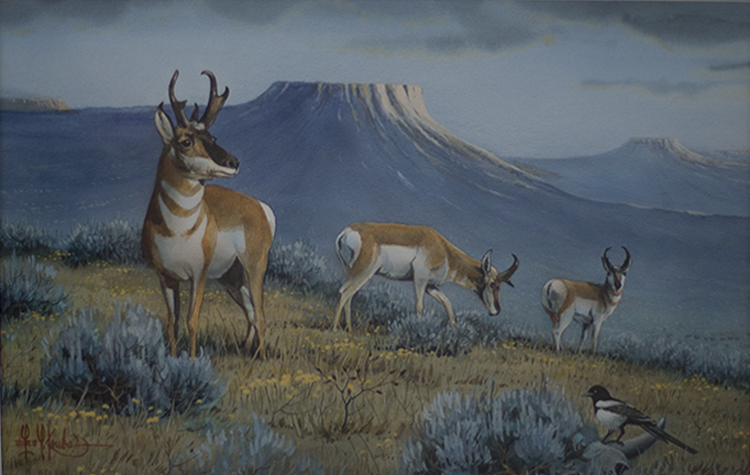 750x475 Wildlife Art Prints Plus Original Paintings With A Wide Selection - Antelope Painting