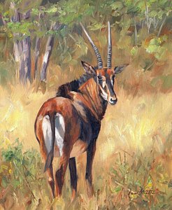 246x300 Antelope Paintings Fine Art America - Antelope Painting
