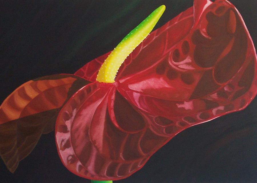 900x642 Dark Red Anthurium Painting By Pera Schillings - Anthurium Painting