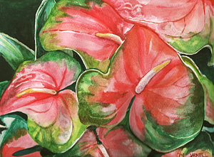 300x221 Watermelon Anthurium Painting By Patti Vrabel - Anthurium Painting