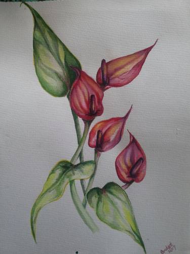 375x501 Anthurium Paintings For Sale Saatchi Art - Anthurium Painting