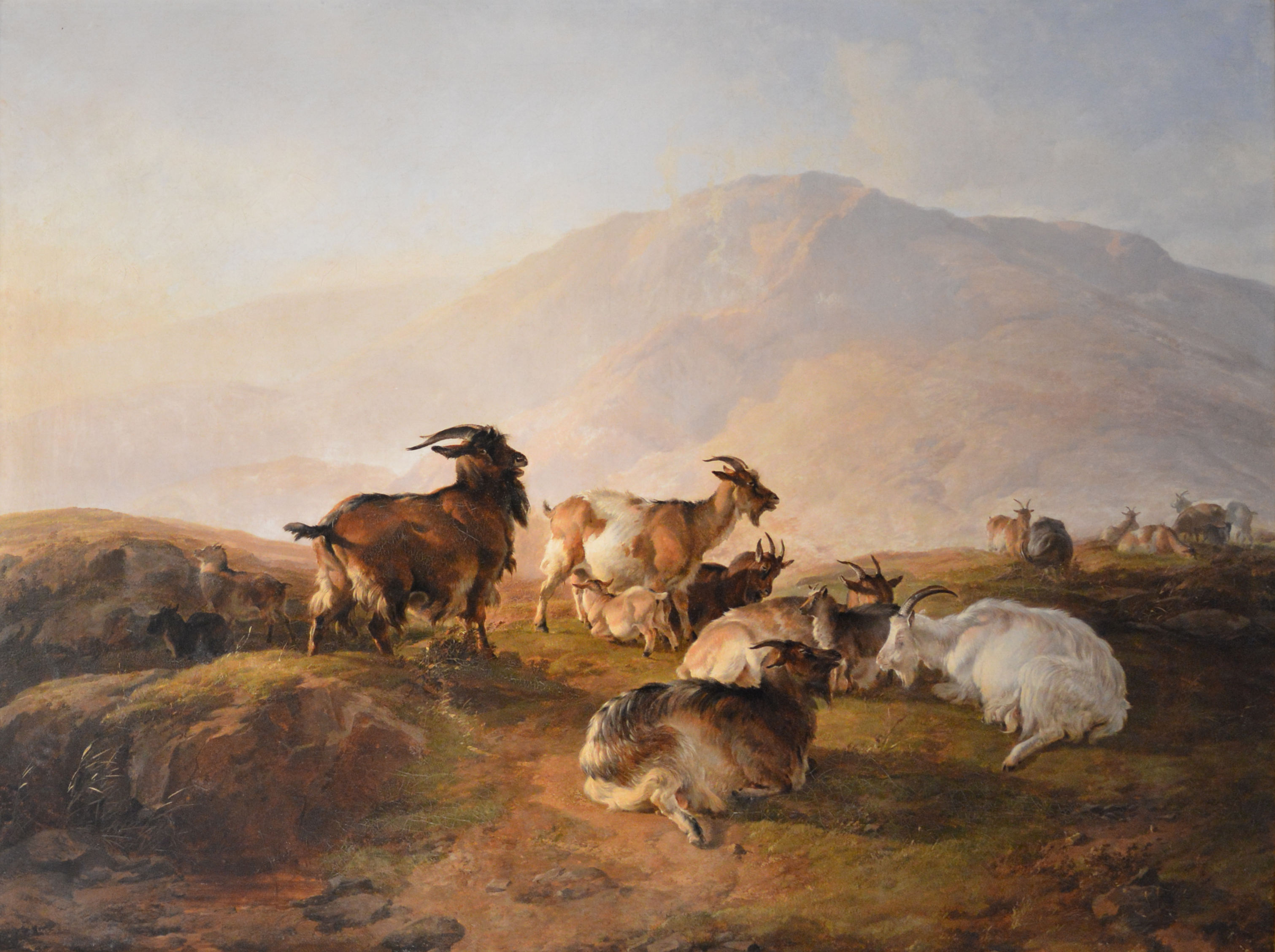 3022x2257 Thomas Sidney Cooper Ra Oil Painting Highland Goats - Antique Sheep Painting