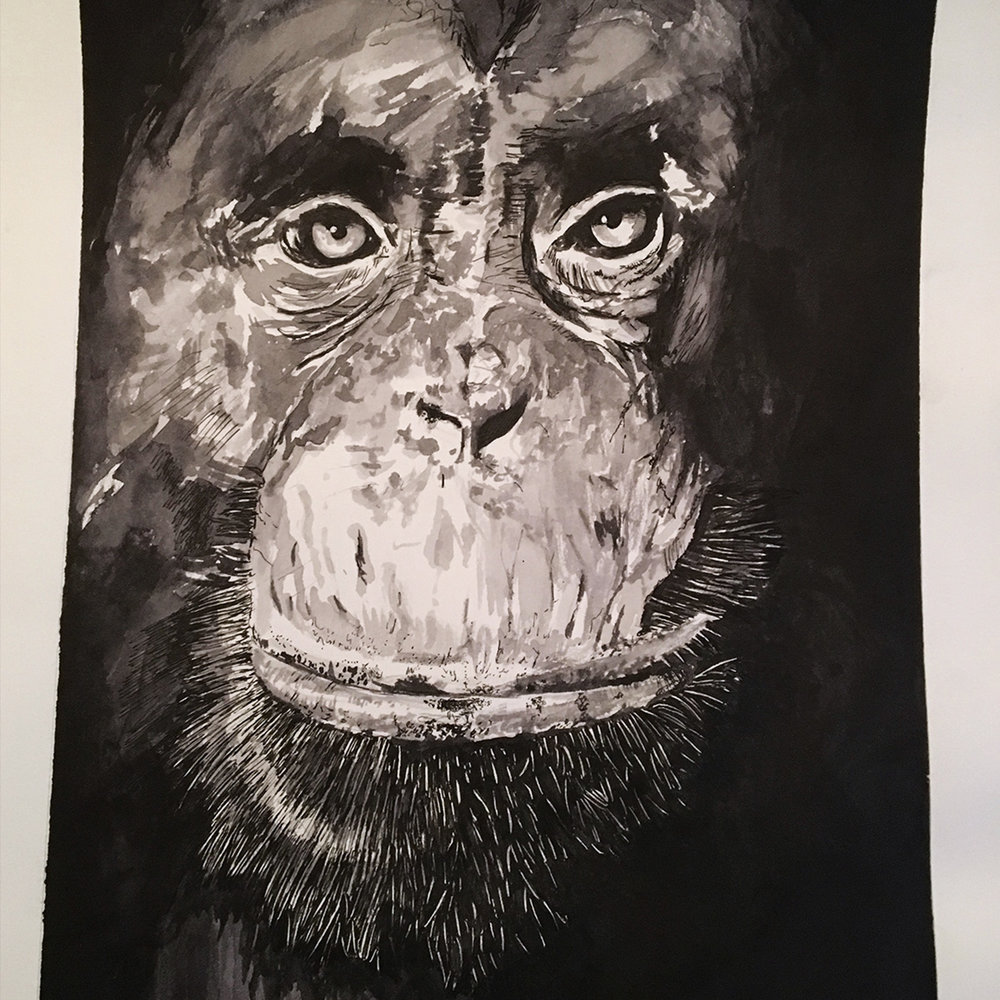 1000x1000 Original Ape Inkwash Painting Store Jordan Fretz Design - Ape Painting
