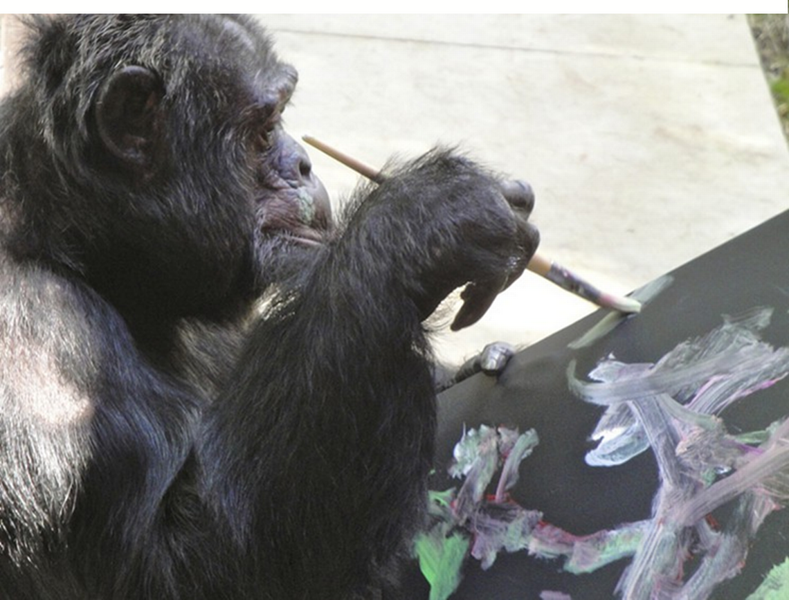 1140x867 You Never Considered Watching An Ape Paint. But This Is Michael - Ape Painting