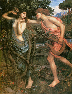 231x300 Apollo And Daphne Painting By John William Waterhouse - Apollo Painting