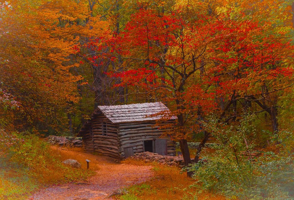 1000x679 Appalachian Autumn - Appalachian Painting