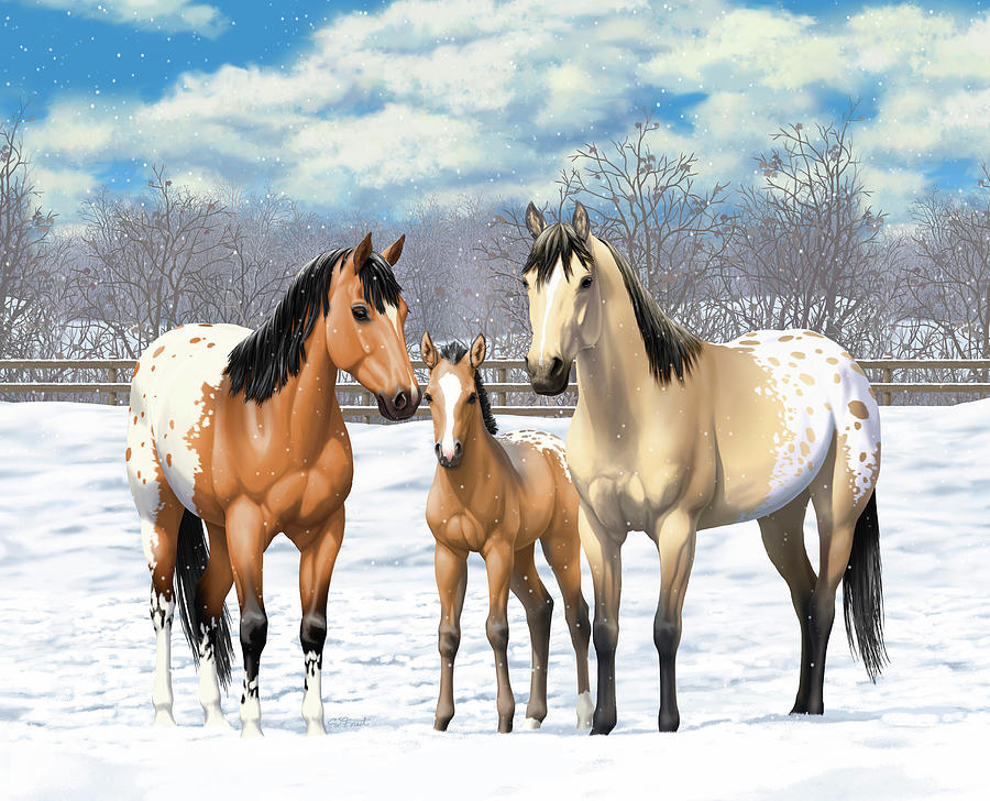 900x728 Buckskin Appaloosa Horses In Winter Pasture Painting By Crista Forest - Appaloosa Horse Painting