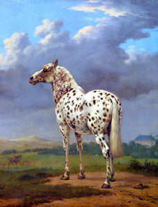 229x300 Vintage Leopard Appaloosa Horse Painting Canvas Art Print 8x 12 - Appaloosa Horse Painting