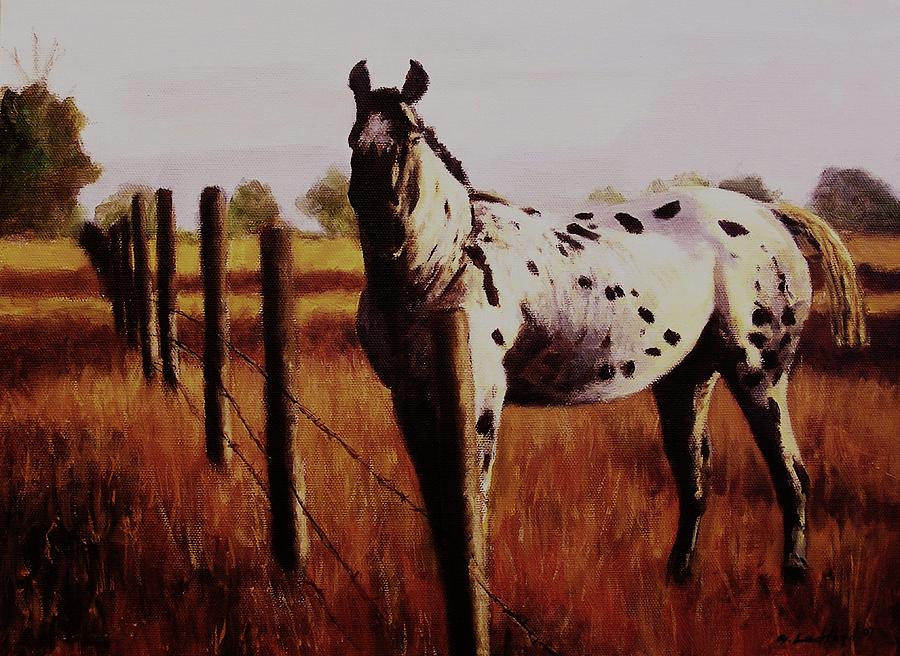 900x656 Appaloosa Horse In Pasture Painting By Glenn Ledford - Appaloosa Horse Painting