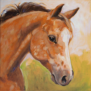 300x300 Appaloosa Horse Paintings Fine Art America - Appaloosa Horse Painting