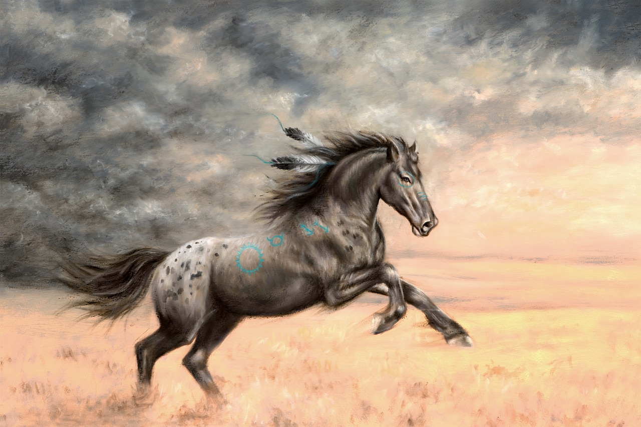 1280x853 Appaloosa Horse - Appaloosa Horse Painting