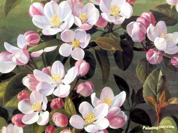 720x540 Apple Blossoms Artwork By Raymond Booth Oil Painting Amp Art Prints - Apple Blossom Painting