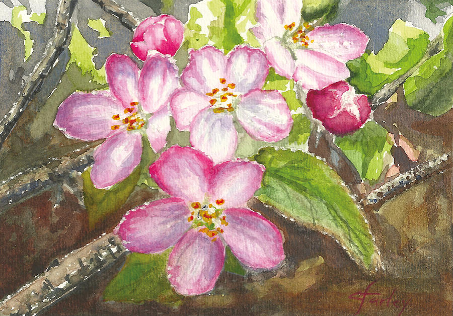 900x628 Apple Blossoms Ii Painting By Corie Farley - Apple Blossom Painting