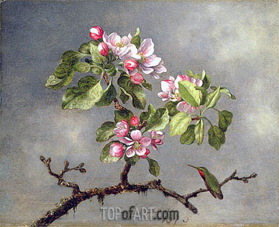 400x325 Apple Blossoms And A Hummingbird Martin Johnson Heade Painting - Apple Blossom Painting